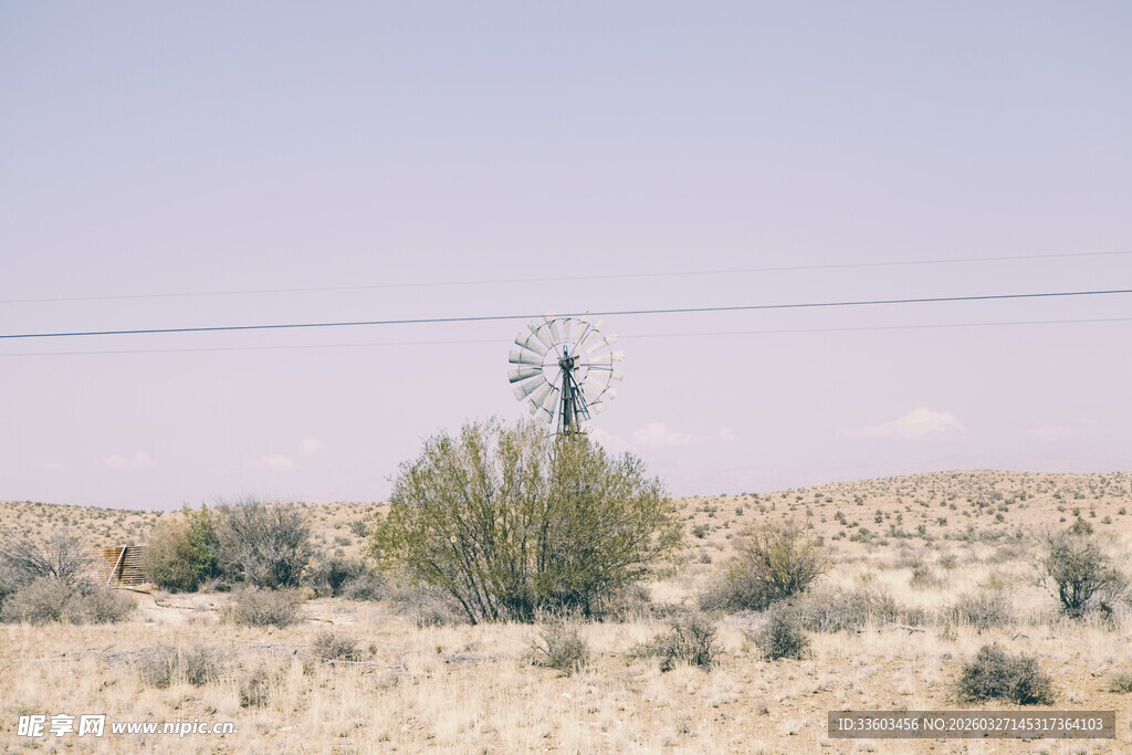 荒漠中的孤独电线杆