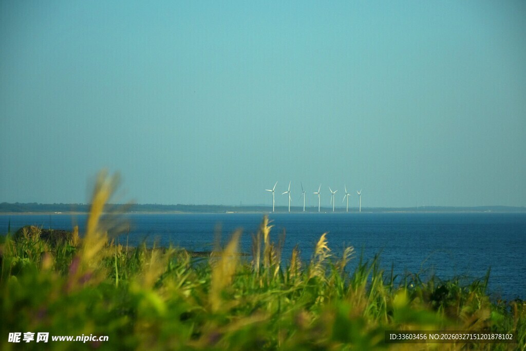 海边草地与远处的蓝色海洋