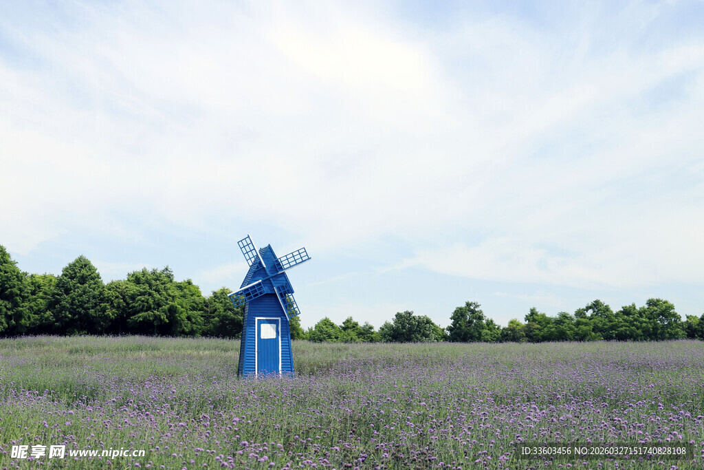 蓝风车立在紫色花田之中