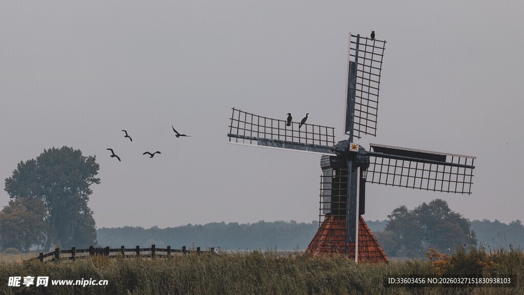 田野中的古老风车
