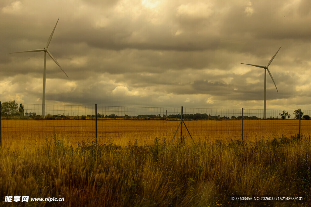 田野上的风力发电机组
