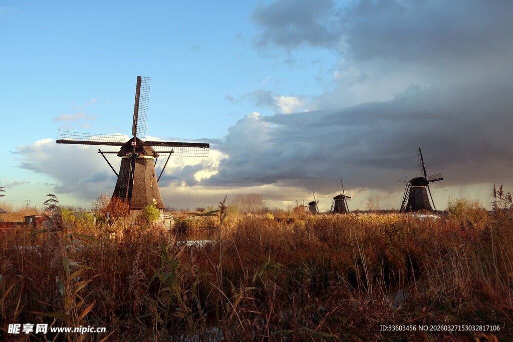 荷兰田野中的古老风车