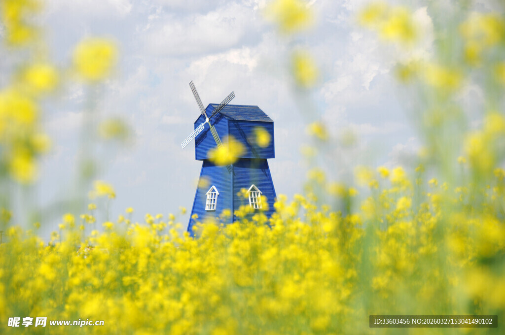 蓝色机器人置身油菜花海