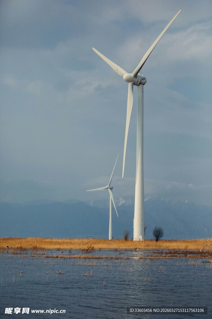 海上风力发电机组景观