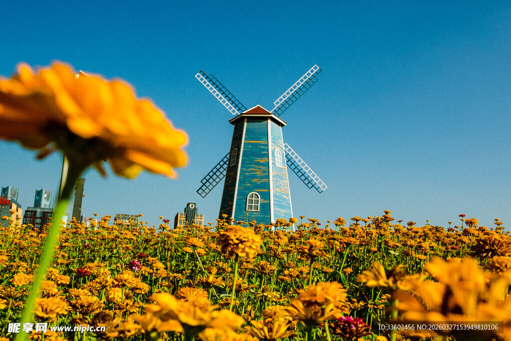 花海中的风车美景