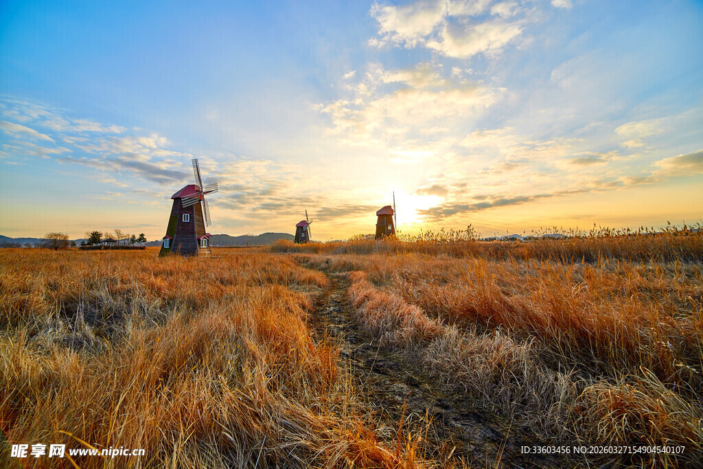 夕阳下的麦田与风车景观
