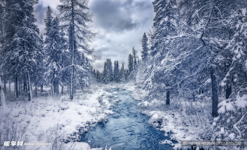冬日雪林溪流美景