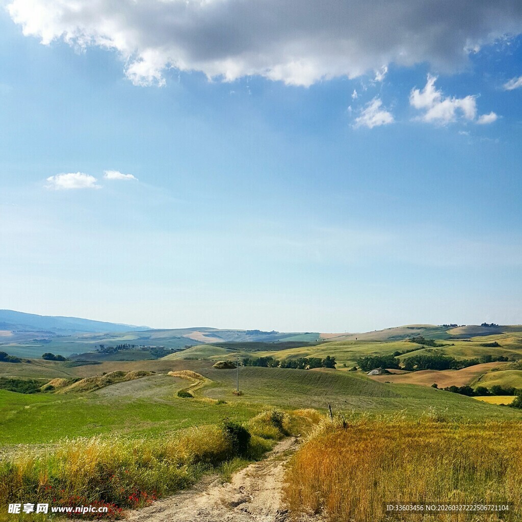田园风光中的蜿蜒小路