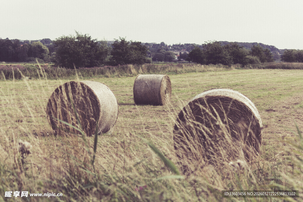 田野中的干草卷