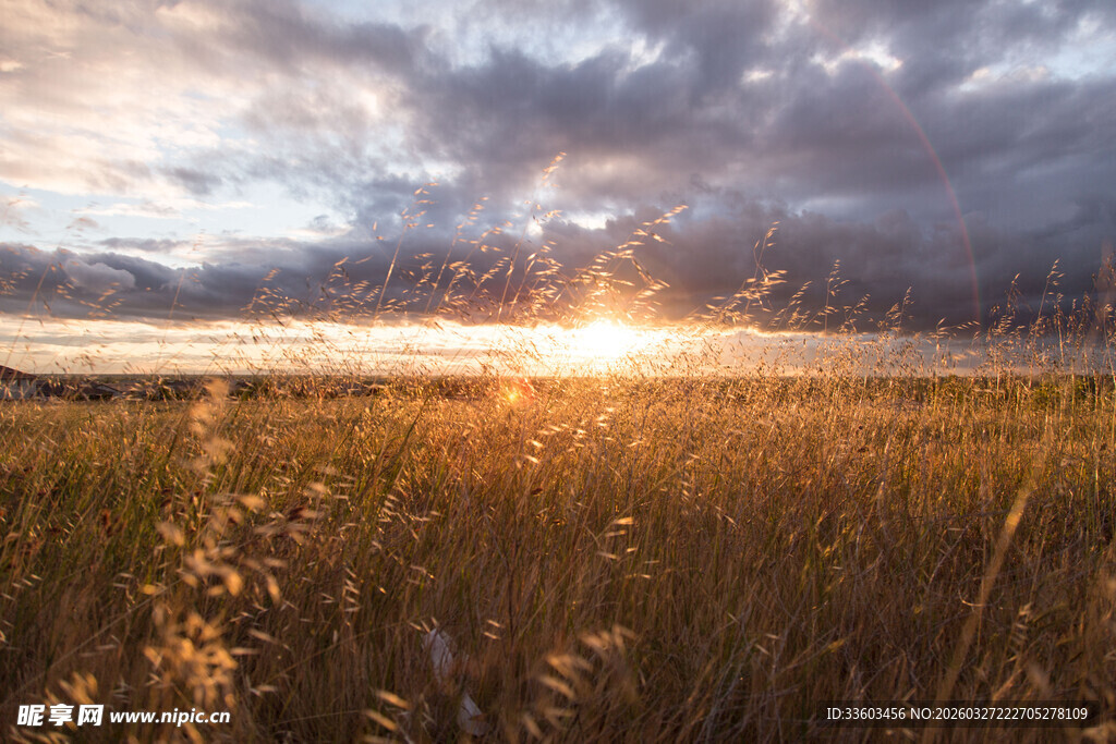 草原日落美景