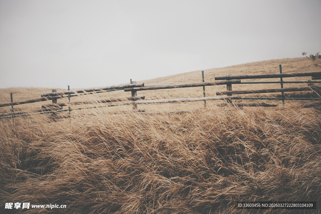 秋日田野旁的老旧木栅栏