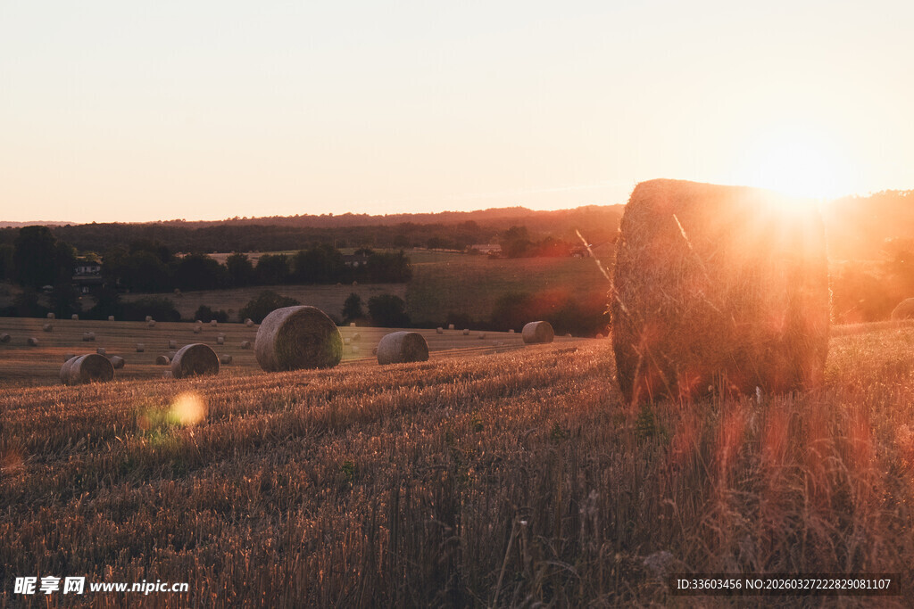 夕阳下的田野草垛美景