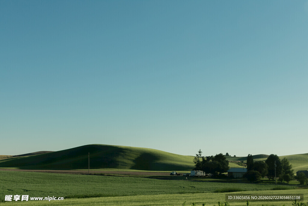 广袤田野中的零星树木