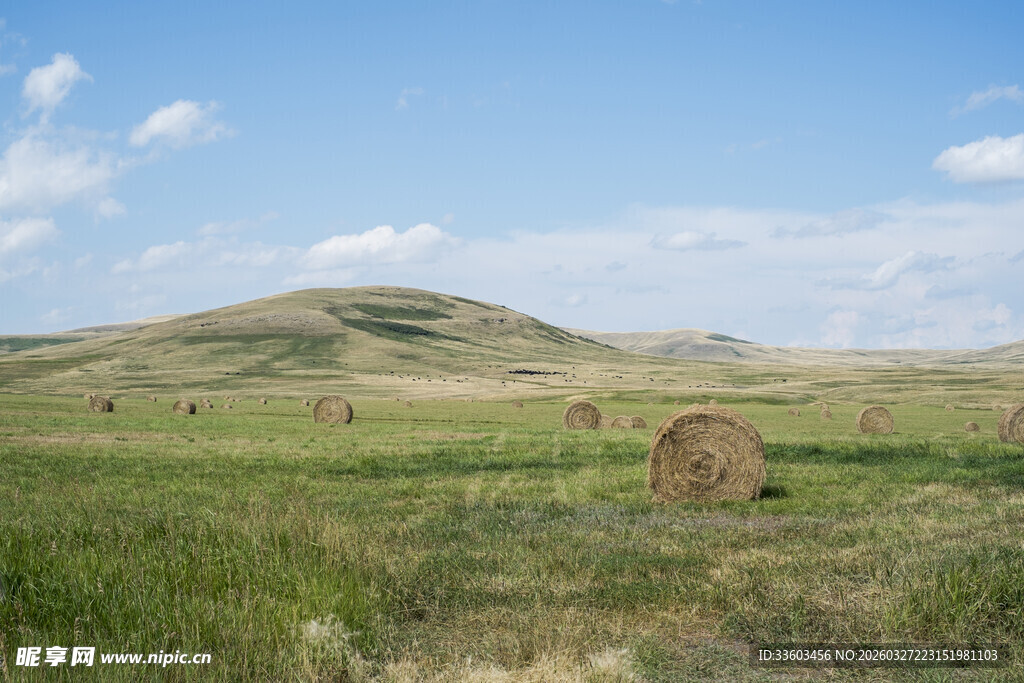 草原上的干草垛风光