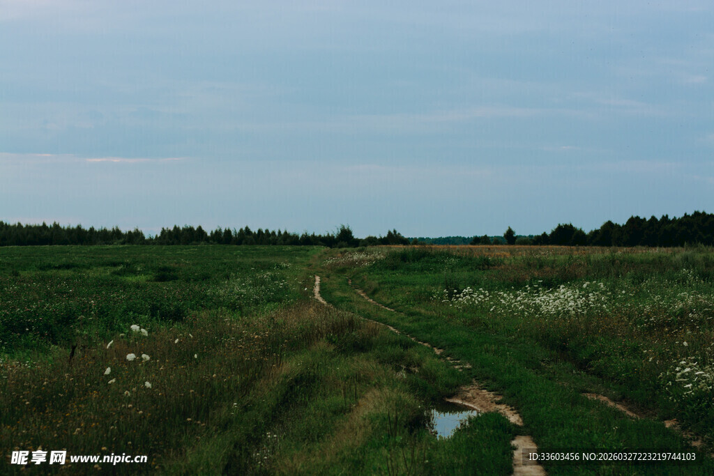 乡间绿野中的蜿蜒小径