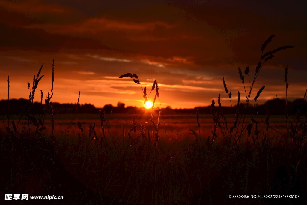 夕阳下的田野美景