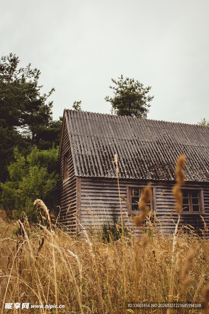 田野中的老旧木屋