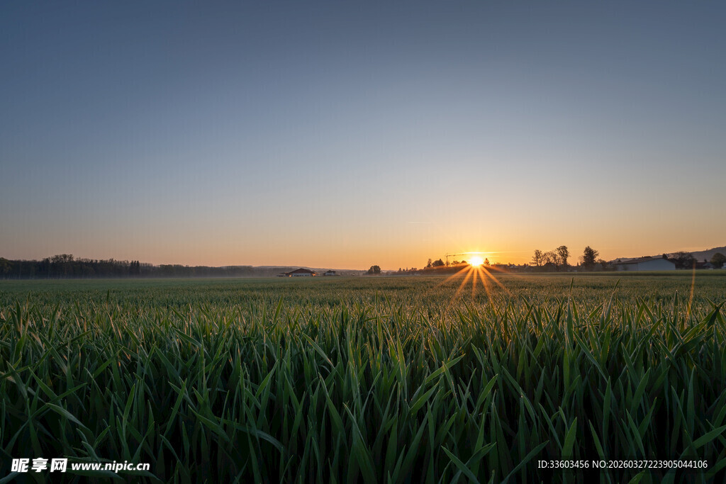 田野日出美景