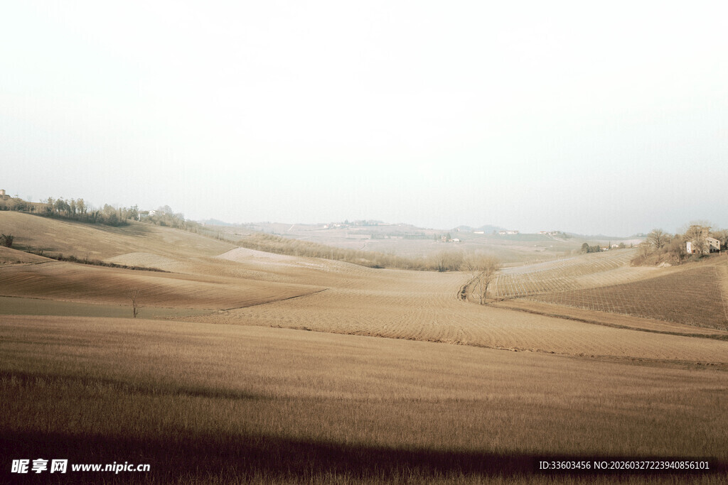 广袤荒凉的田野景观