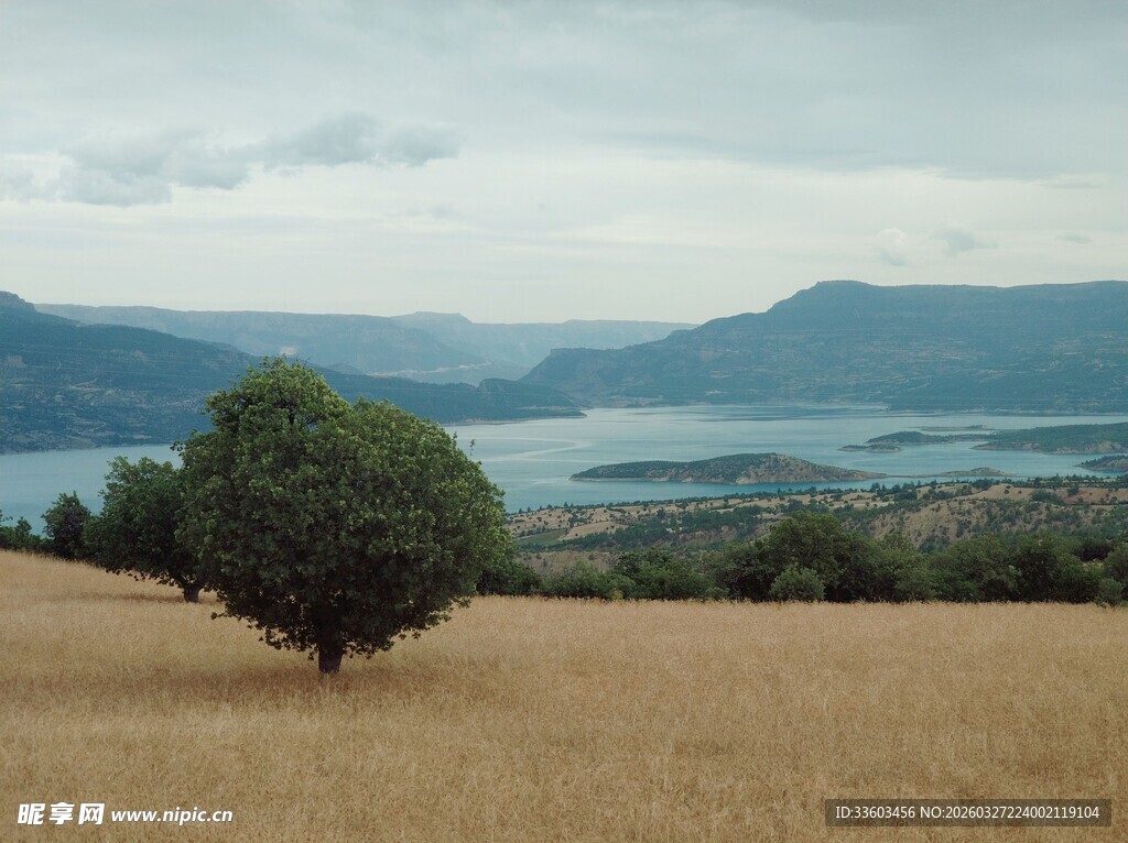 旷野孤树旁的湖山景致