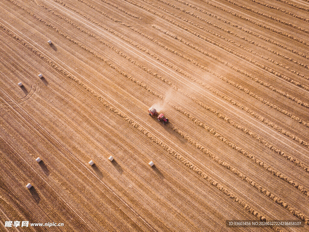 金黄农田中的稀疏物体