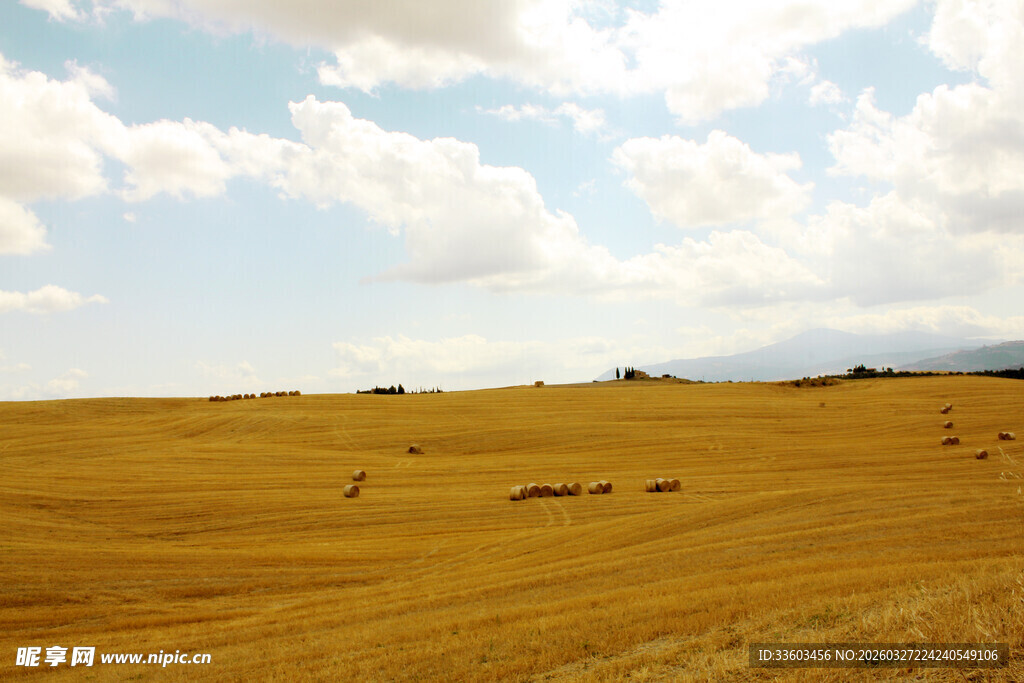 金黄麦田与远处山峦