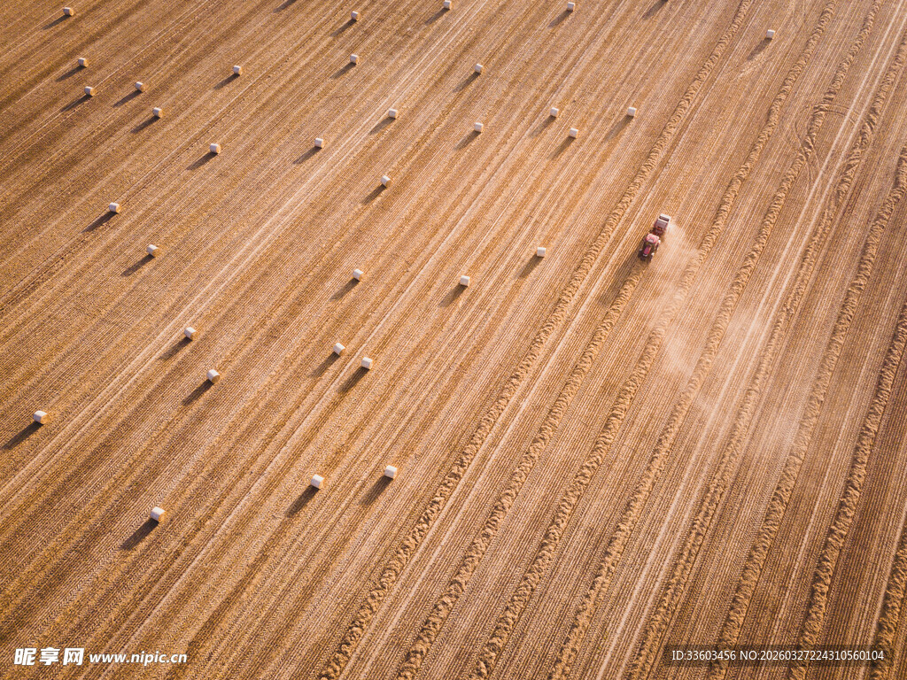麦田中的排列景观