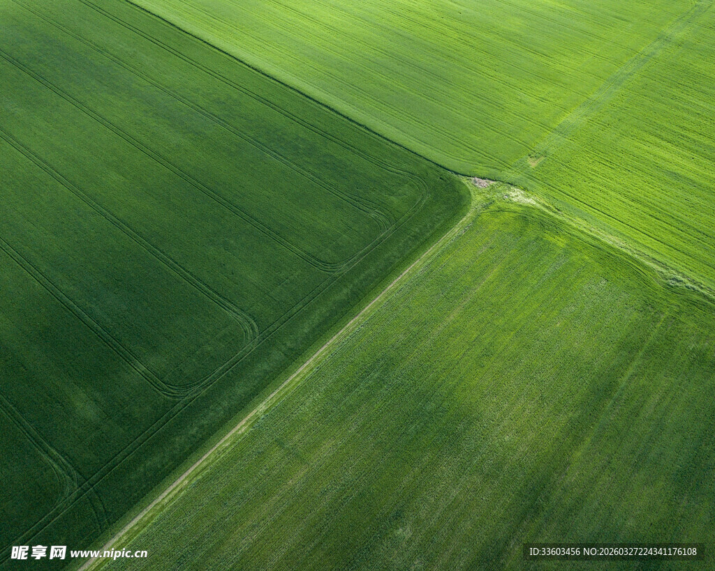 航拍绿色田野景观