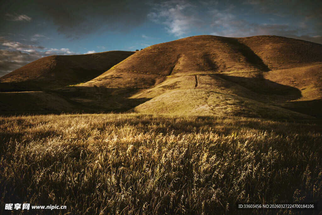 黄昏下的广袤田野风光