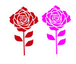 双色玫瑰图案设计