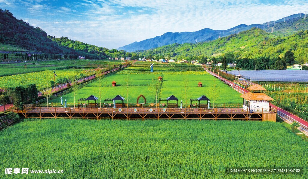 田园风光 翠绿农田与远山