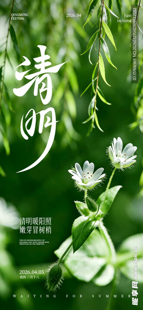 清明时节花草图