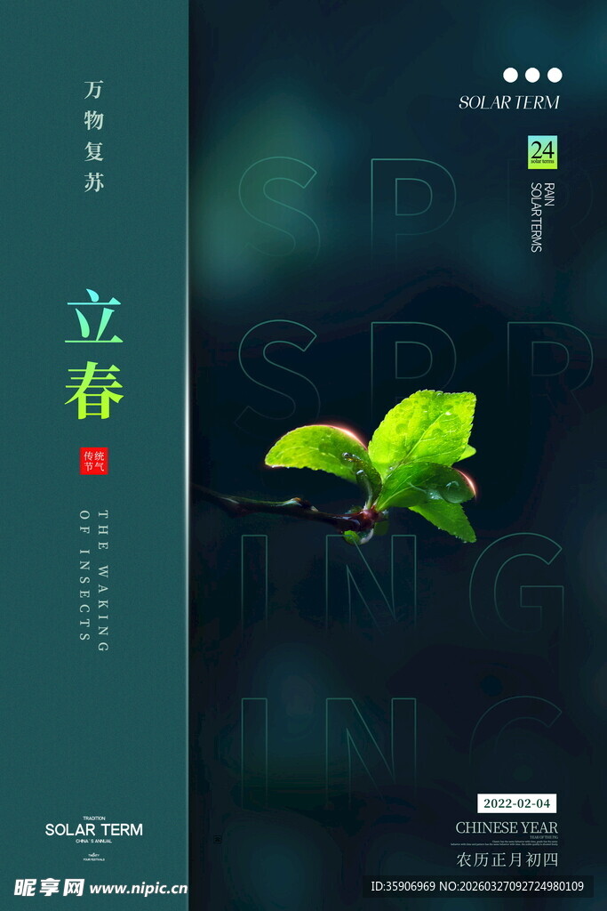 立春时节绿叶清新插画