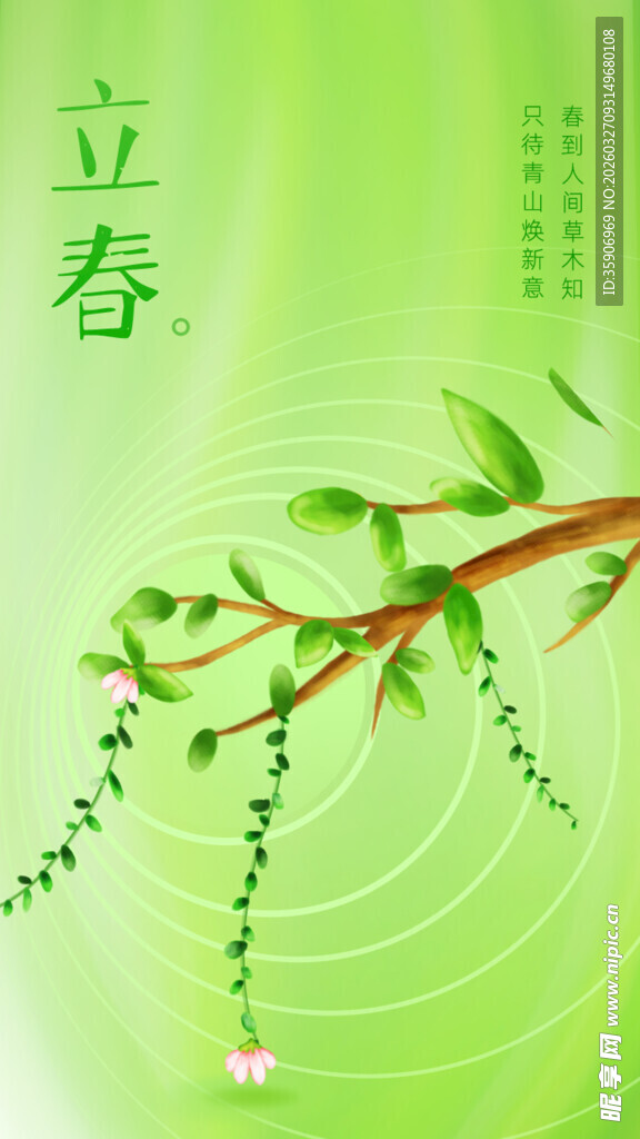 立春时节柳芽初绽美景