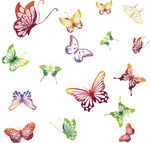 多彩蝴蝶集合