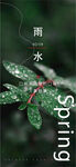 雨水