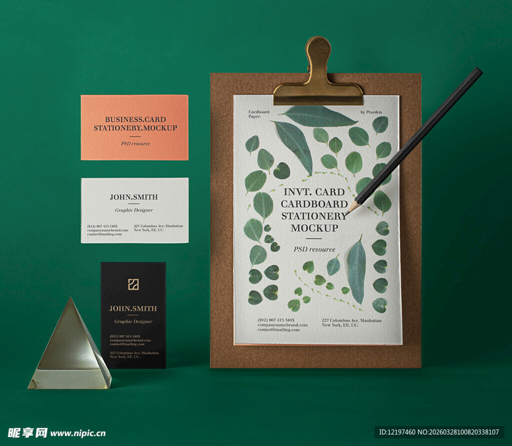 绿植插画搭配文具展示