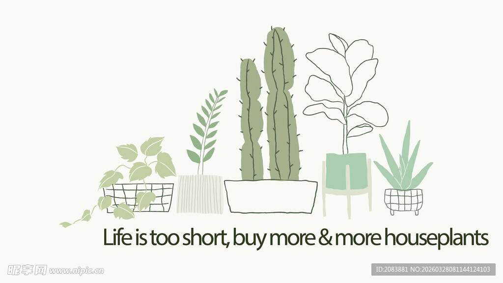 室内绿植装饰场景展示