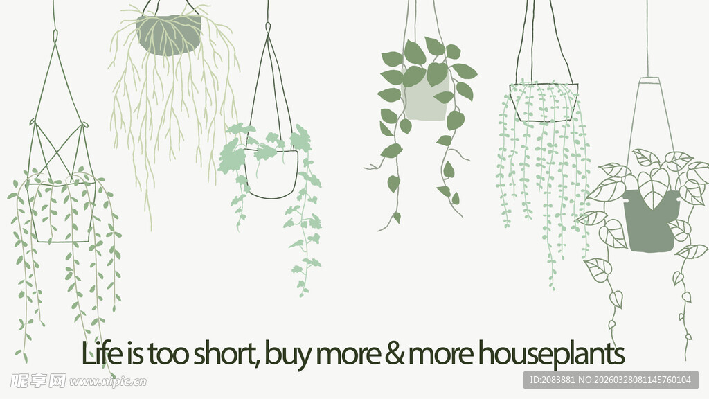 悬挂绿植装饰清新自然风