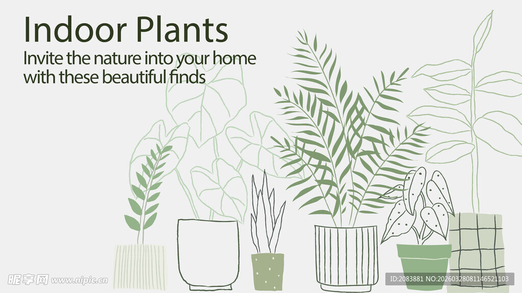 室内绿植装点居家空间