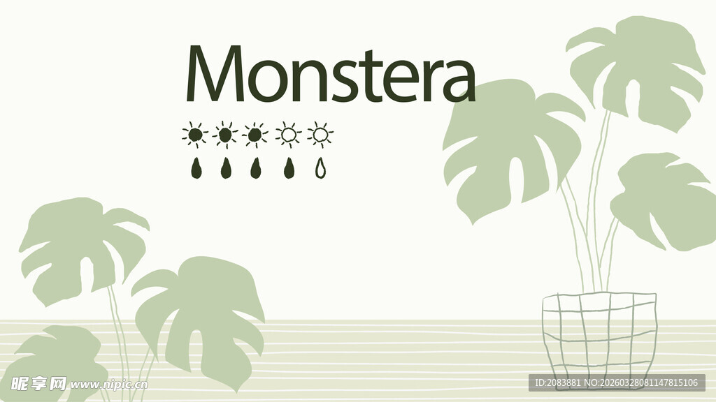 龟背竹装饰图案设计