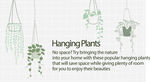 悬挂绿植装饰室内空间