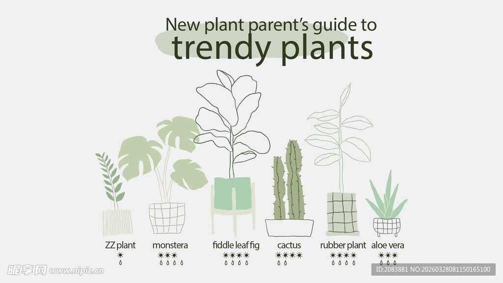 时尚植物指南海报展示