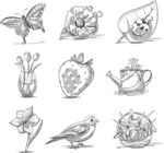 手绘动植物及物品插画