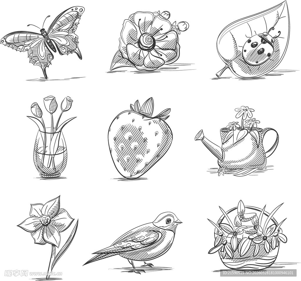 手绘动植物及物品插画