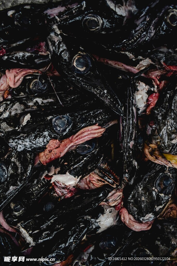 抽象笔触下的色彩交织