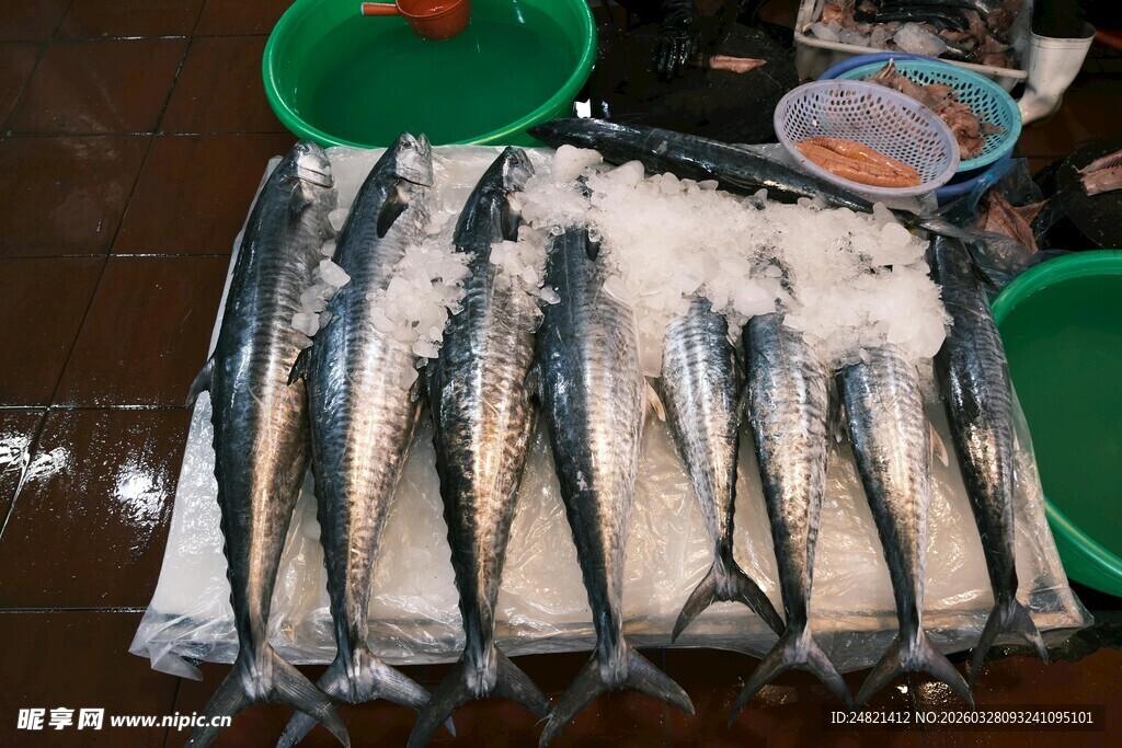 冰鲜海鱼整齐摆放售卖