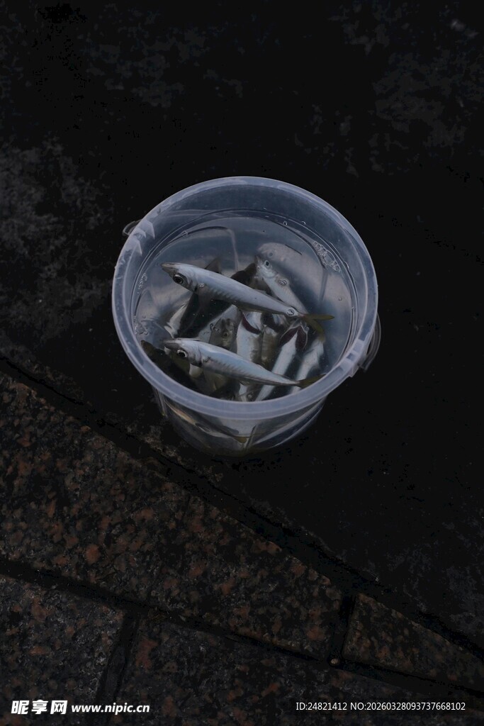 透明杯中的银色物件