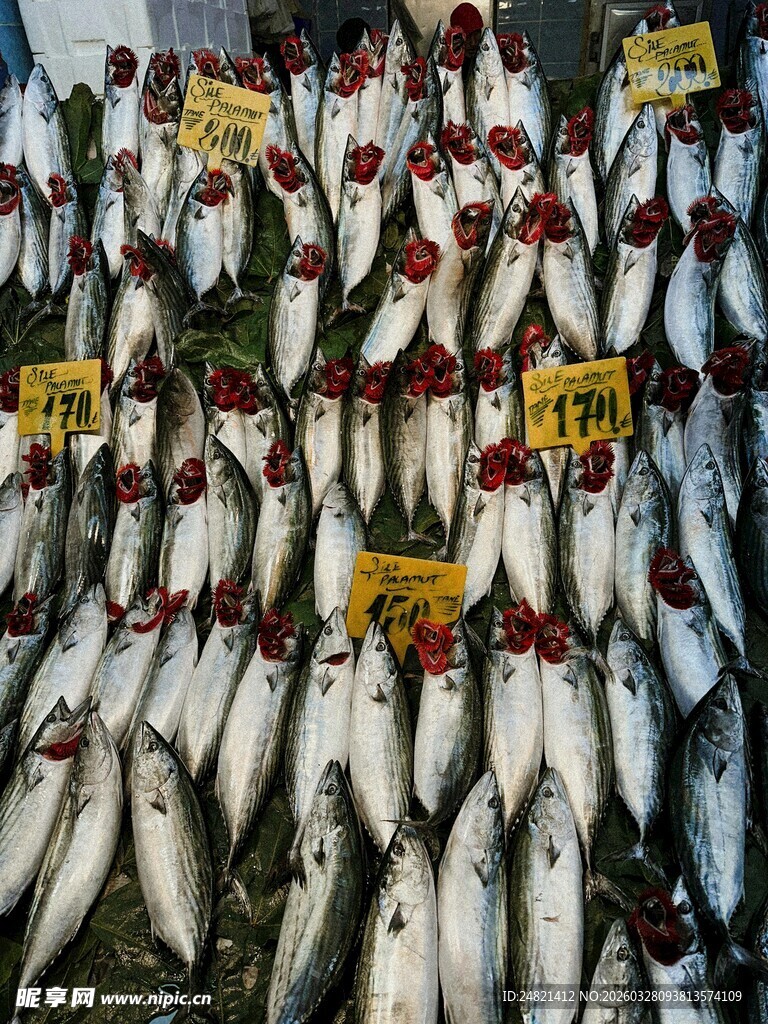 市场中整齐摆放的鲜鱼