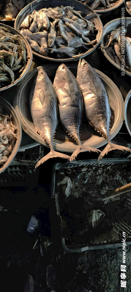 金属质感鱼形装饰摆件